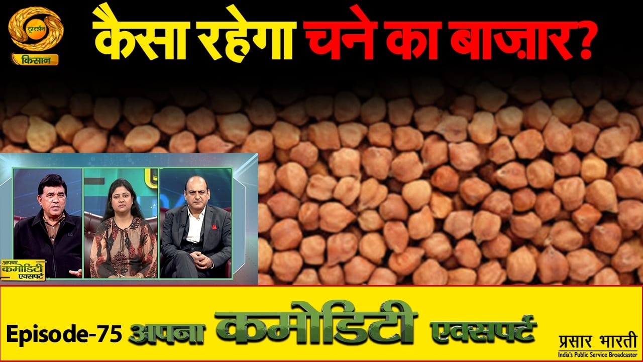 Apna Commodity Expert | कैसा रहेगा चने का बाजार ?  | DD Kisan | 20/02/2026