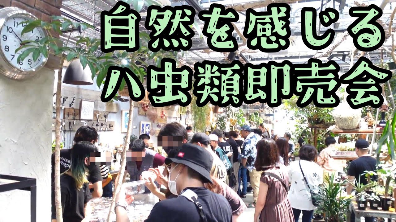 植物に囲まれ最高の空間で楽しめる爬虫類イベントに行ってみた♪