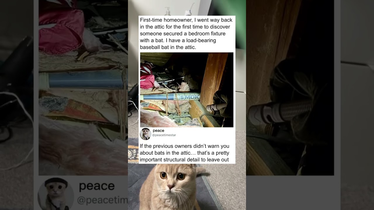 Homeowner discovers baseball bat tied in the attic