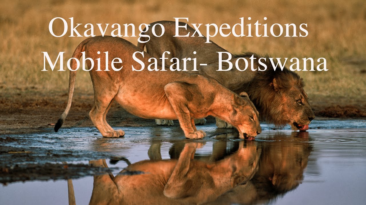 Okavango Expeditions - Mobile Safari in Botswana.