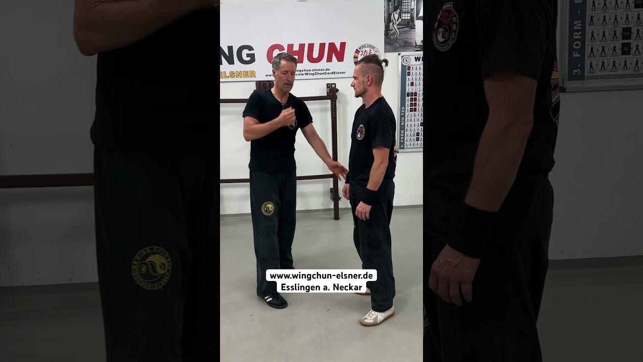 Wing Chun Holzpuppe #13 tiefer Fauststo&szlig; Partnerdrill  #WoodenDummy #wingchun #Selbstverteidigung
