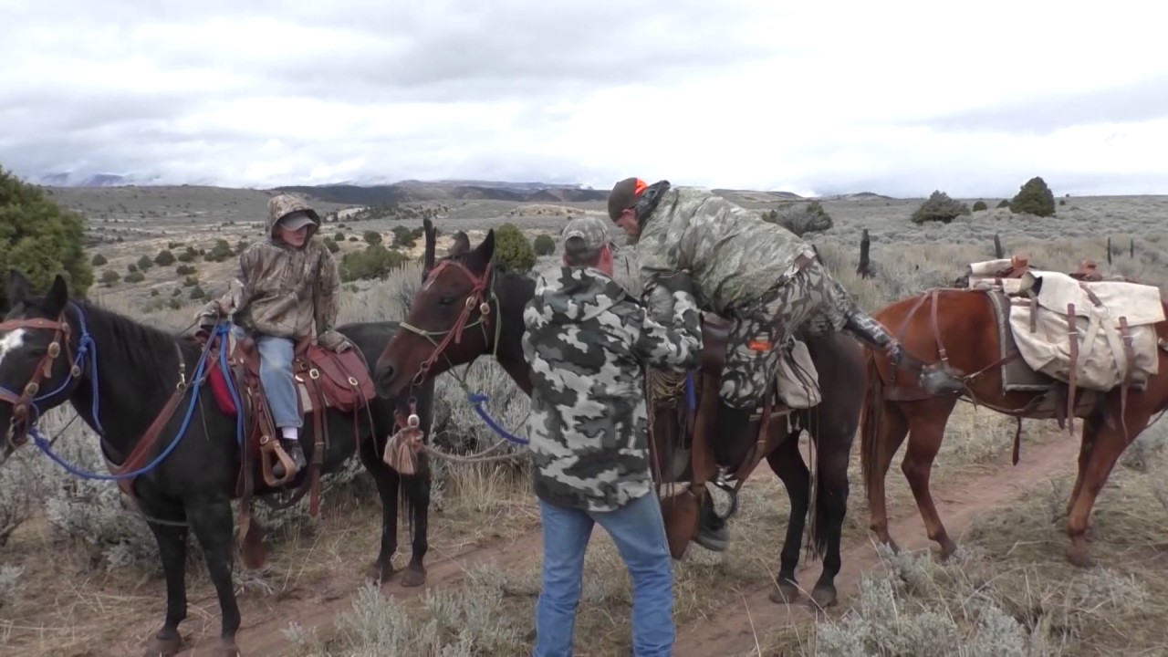 WildAir - Episode 10