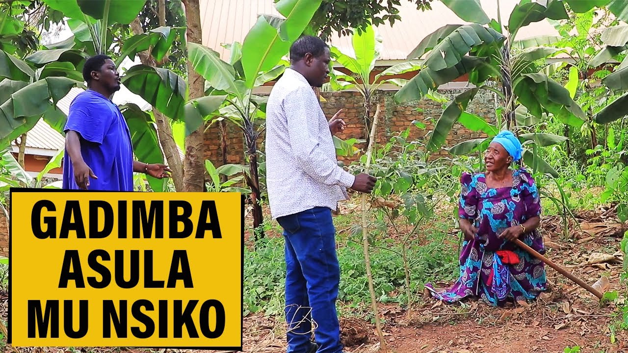 GADIMBA ASULA MU NSIKO