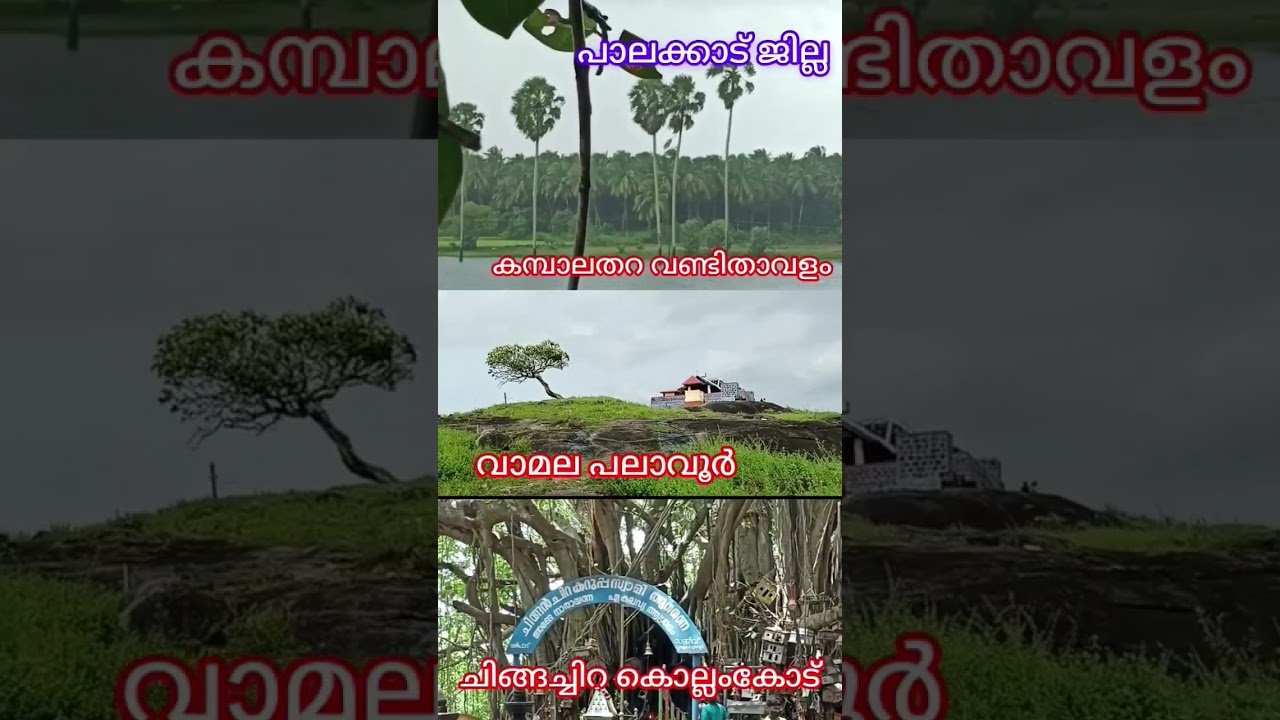 Palakkad District