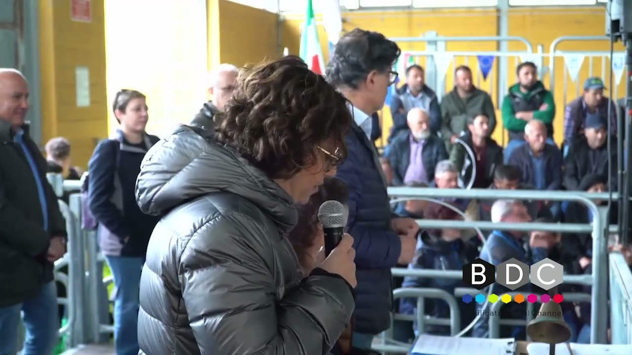 ASTA DEI TORELLI DI RAZZA PODOLICA A LAURENZANA