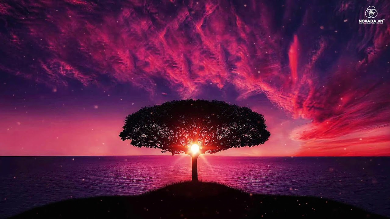 Tha Thứ Thương Thương 2   Minh Tịnh   Lan Thi