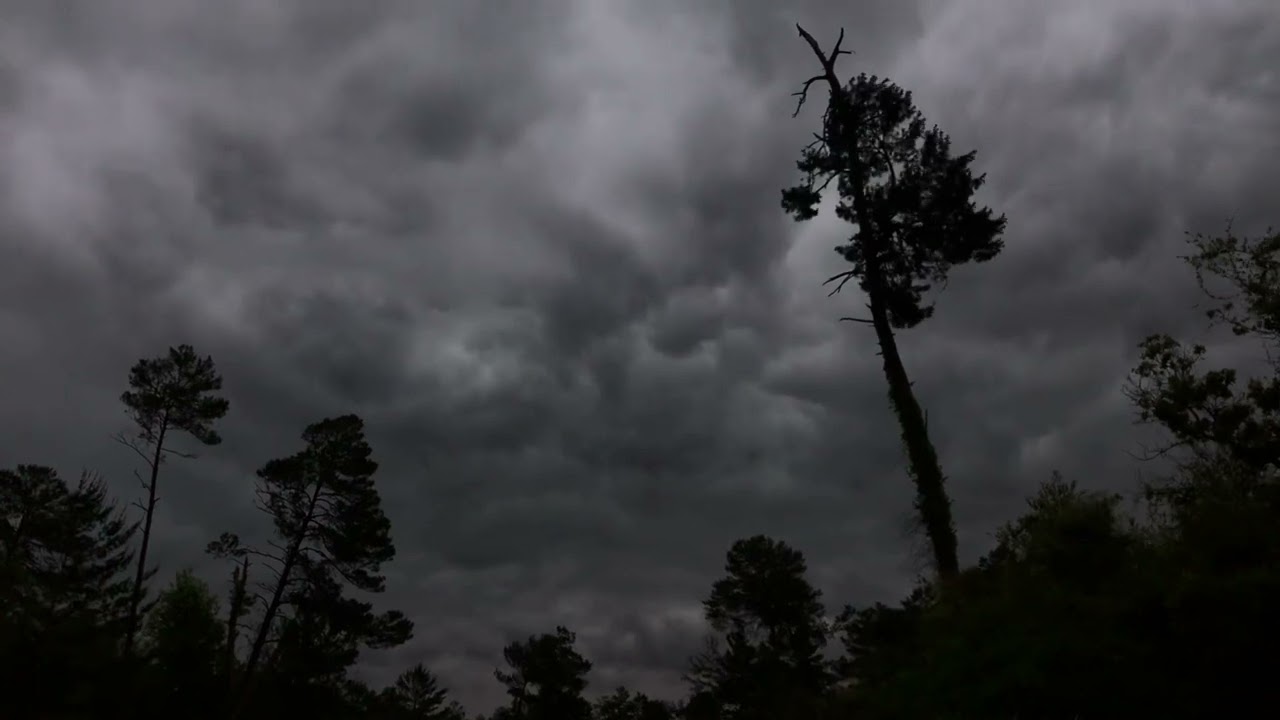 Florida weather. Ocala.