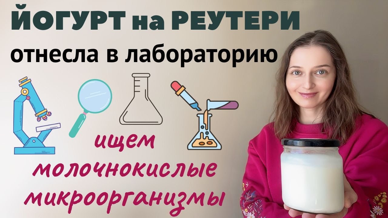 Сколько молочнокислых микроорганизмов в йогурте на реутери ? Результаты лабораторных испытаний.