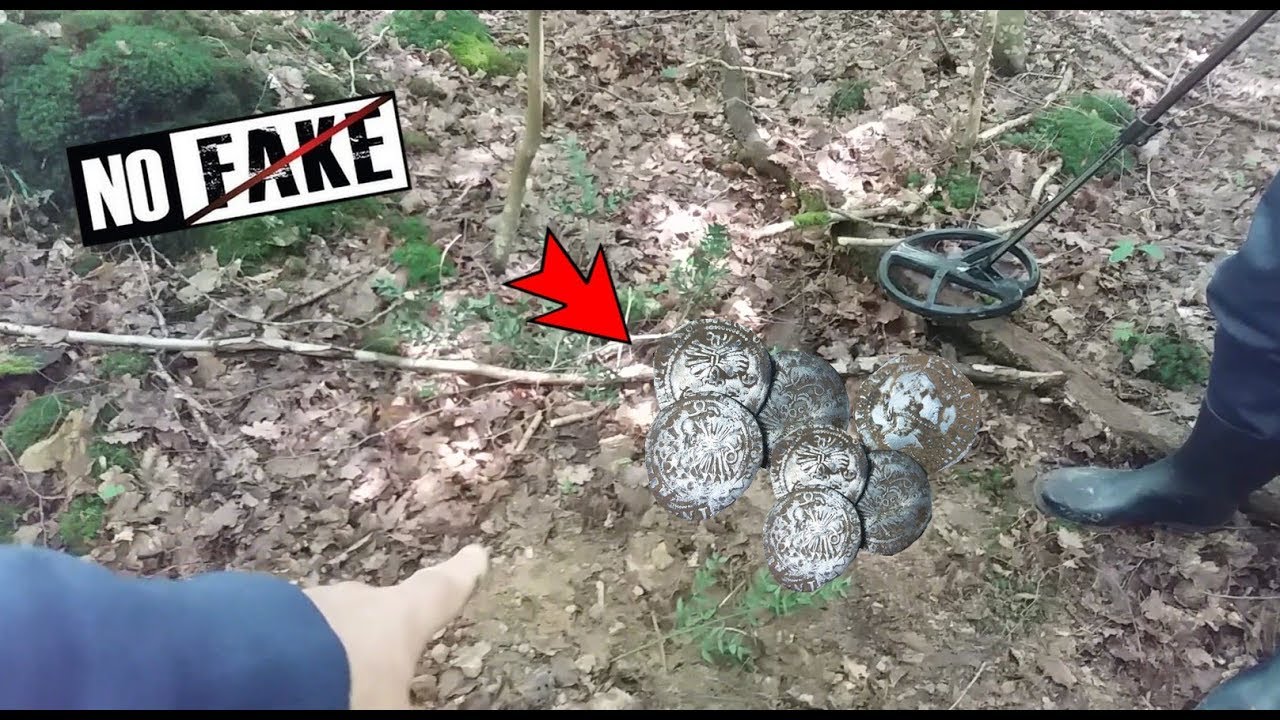 DÉTECTION ON TROUVE UN TRÉSOR DANS UN BOIS!