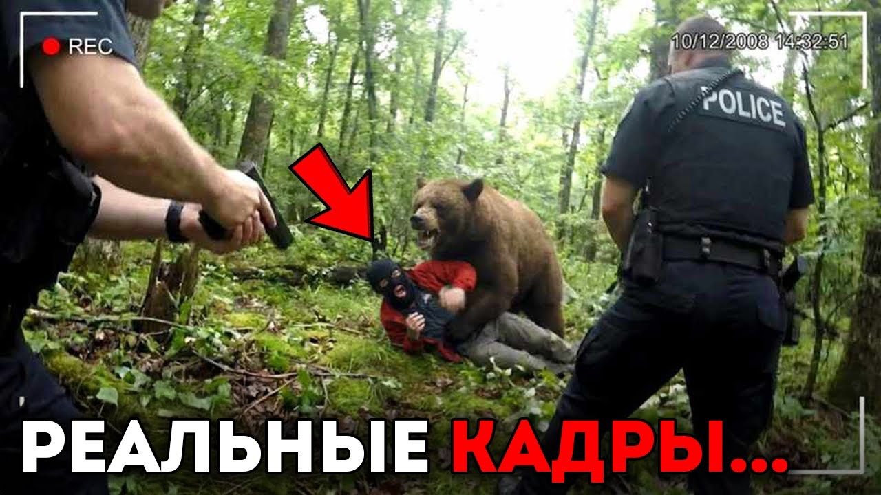 Когда Преступников Съели Заживо Опасные Животные…