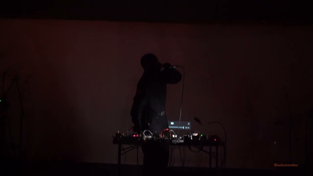 Infinexhuma at Lunasa Cascadia 7, 24, 2024