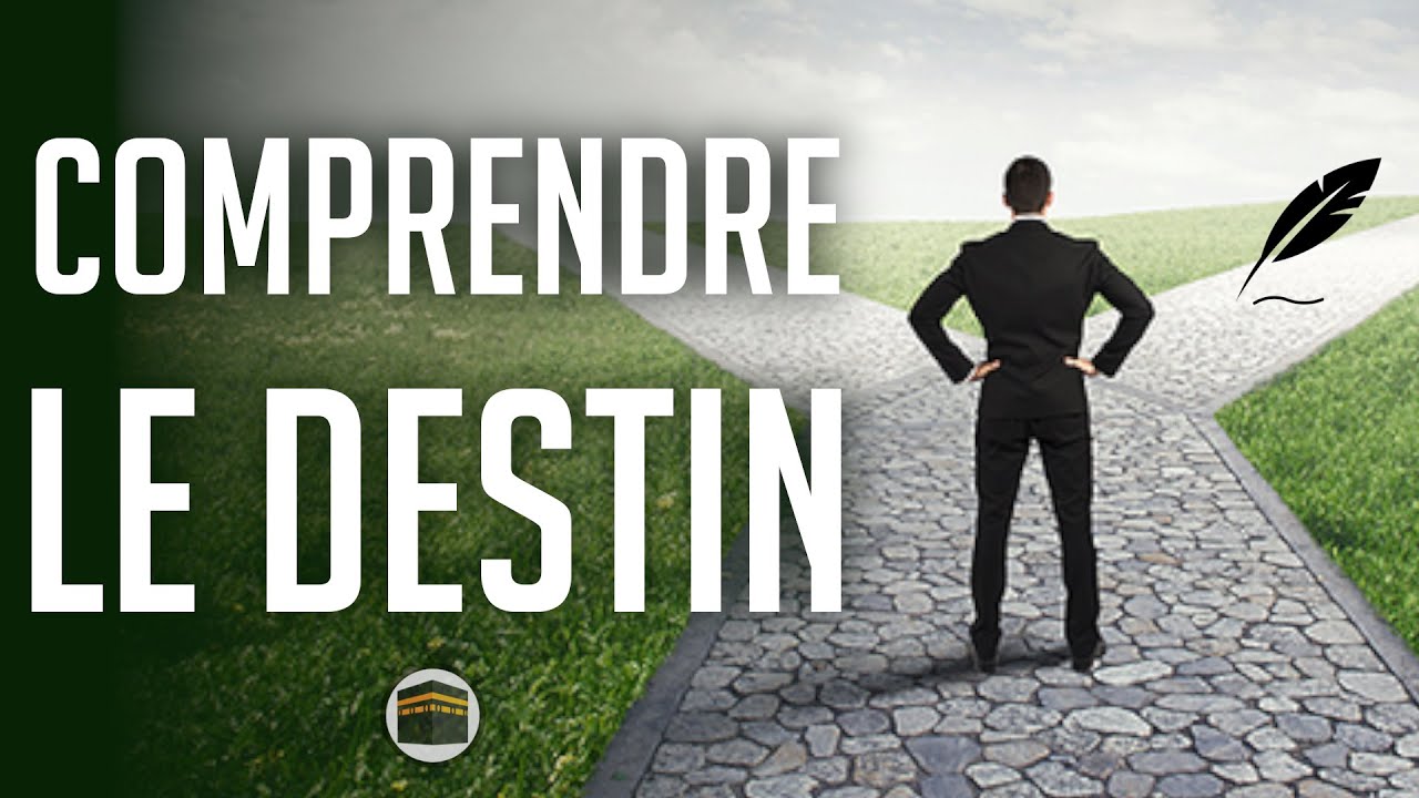 COMPRENDRE LE DESTIN EN R&Eacute;ALIT&Eacute; ET EN D&Eacute;TAIL