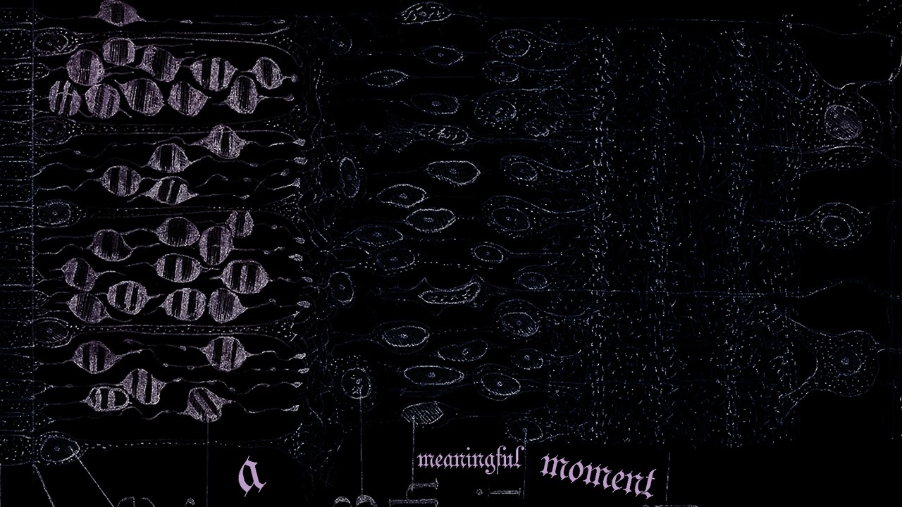 PXTSERYU  -【﻿ａ　ｍｅａｎｉｎｇｆｕｌ　ｍｏｍｅｎｔ】