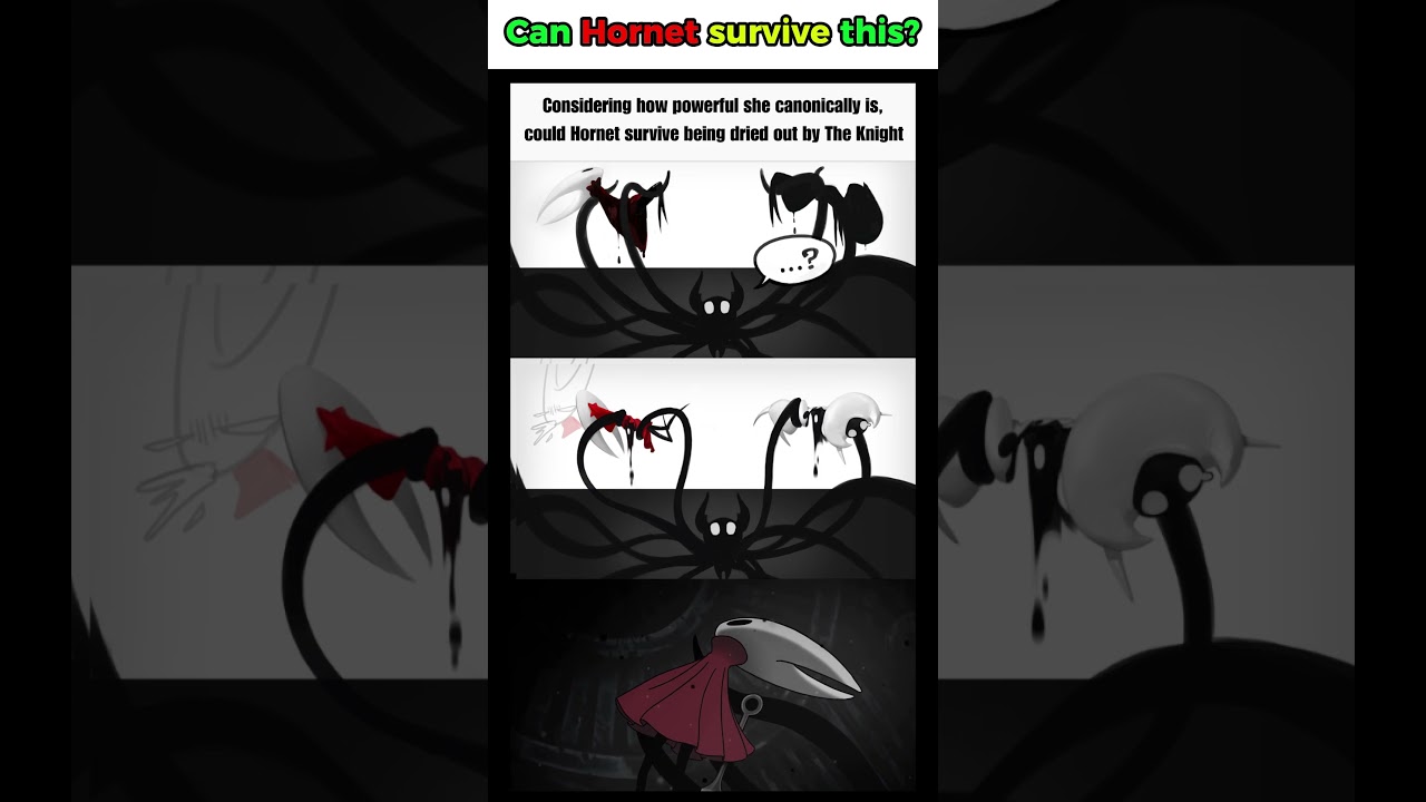 Lace is probably okay. Hornet's spine aint feeling so good tho - Hollow Knight: Silksong