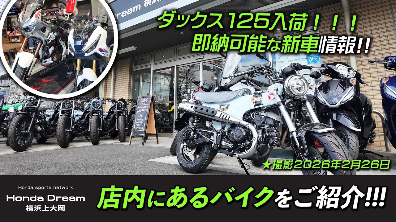 2026年2月26日時点での「ホンダドリーム横浜上大岡の在庫状況」ダックス125が入荷！ツーリングやキャンペーン情報もご紹介します！