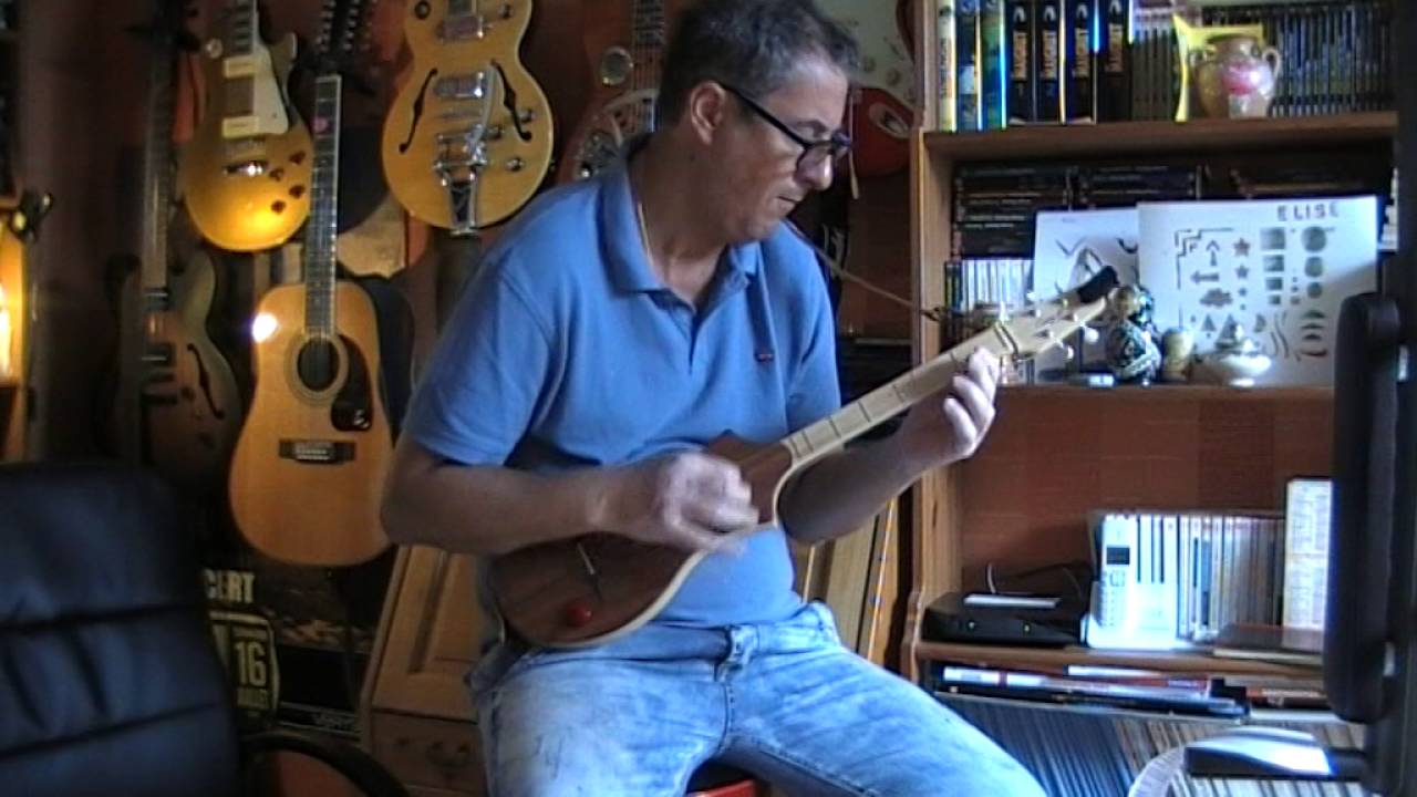 Hotel California - Eagles Cover - Seagull Merlin