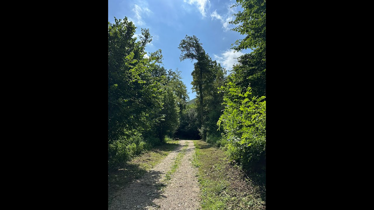 Compilation of our vacation in Italy, Part 7