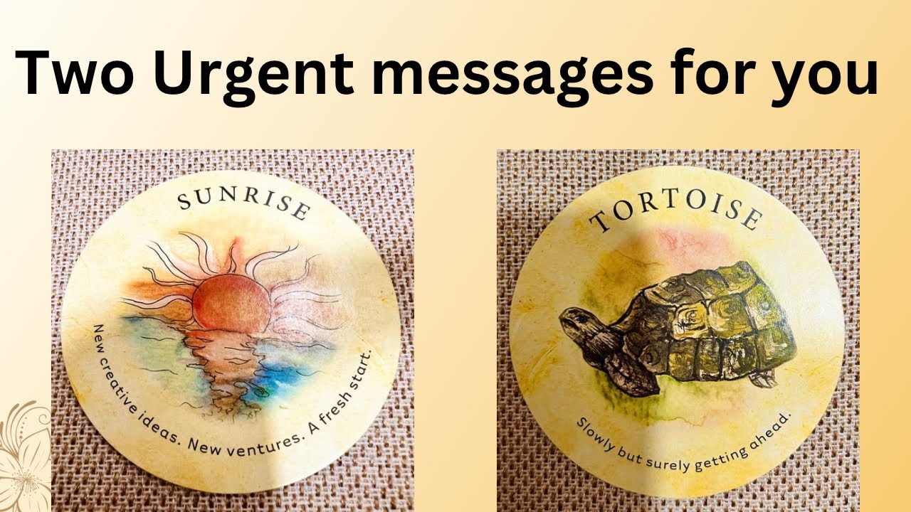 Two Urgent messages from Universe, Divine and Cards ✨🌠🕯️ pick a card timeless