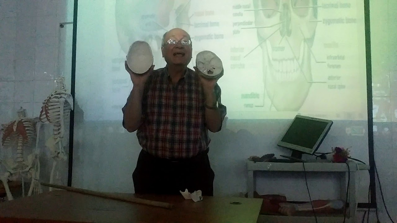 Anatomy of head & neck 1 ( Skull , part 1, norma verticalis ) , by Dr. Wahdan