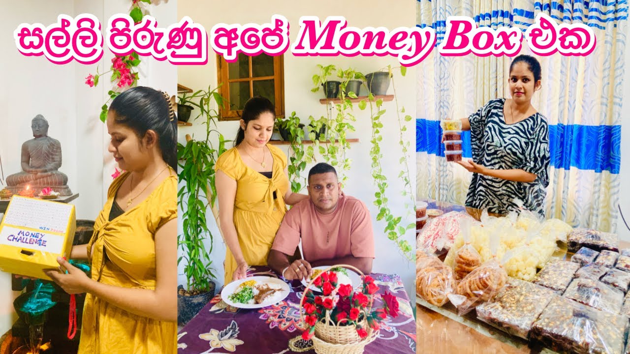 දන්නෙම නැතුව business එකෙන් එකතු වෙන සල්ලි || Money Box Challenge || Husband and Wife vlogs
