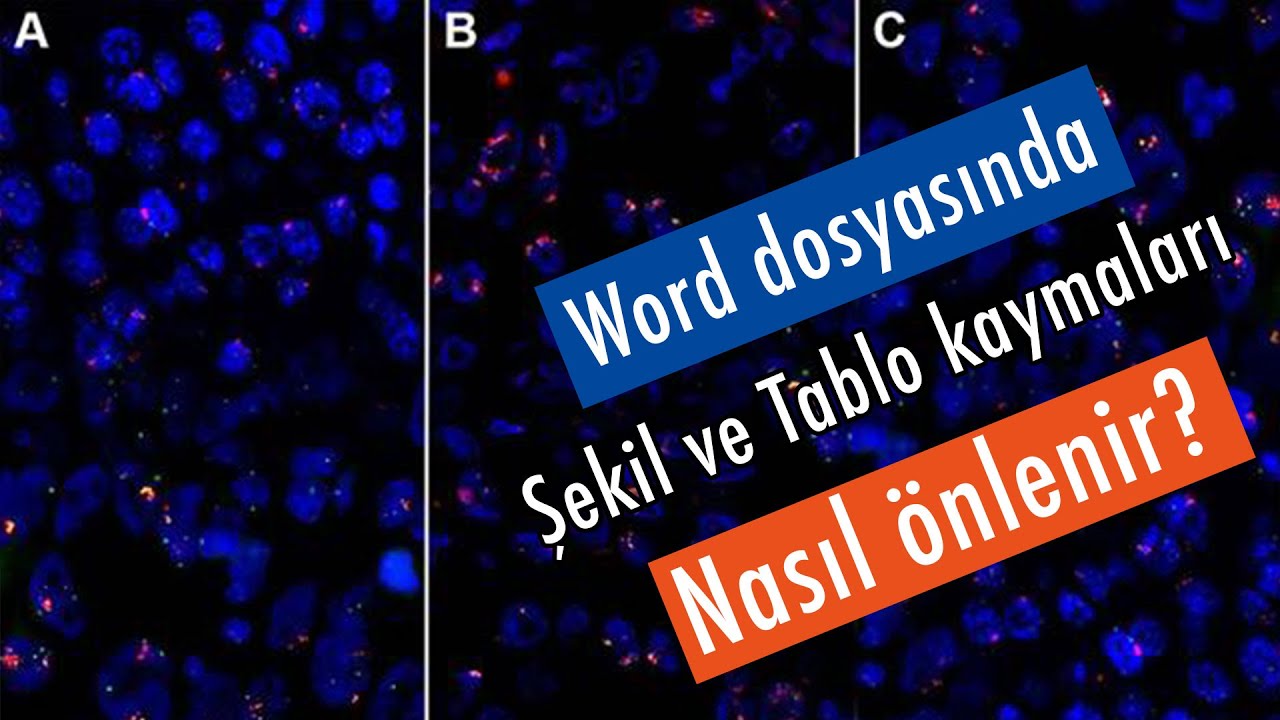 Office Word programında Tez ve Makale yazarken Şekil ve Tabloların kayması nasıl önlenir?