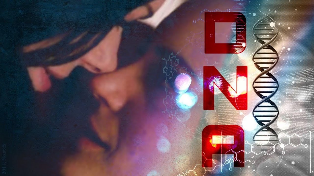 Alex & Piper | DNA