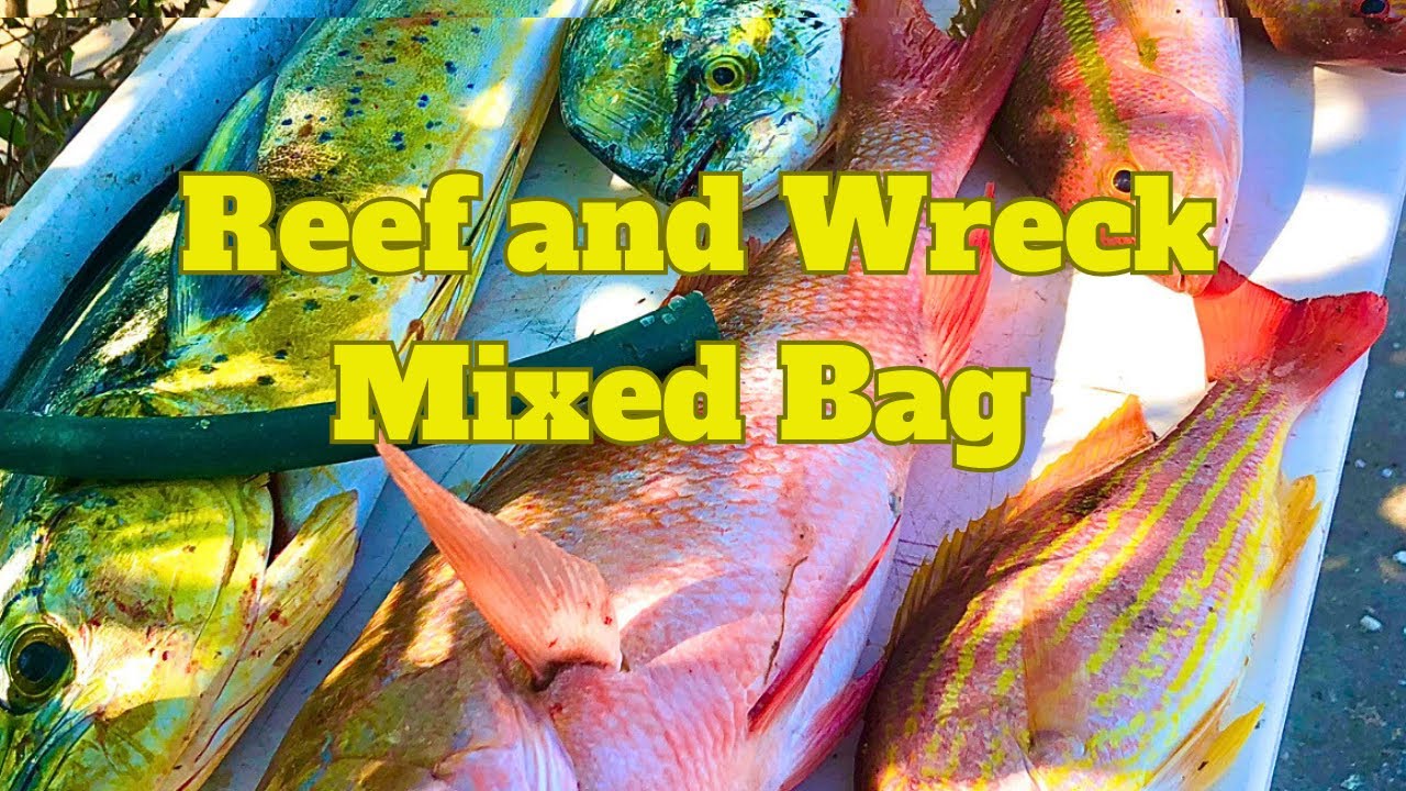 Changing technique to catch Snapper with no current | Treasure Coast Reef Fishing
