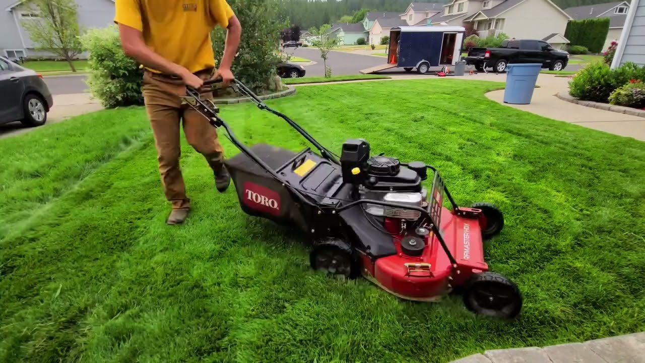 Single Mother Returns Home To A Yard She Never Expected