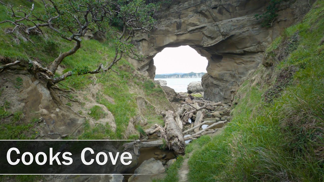 Cooks Cove Walkway, Tolaga Bay, New Zealand | 4K