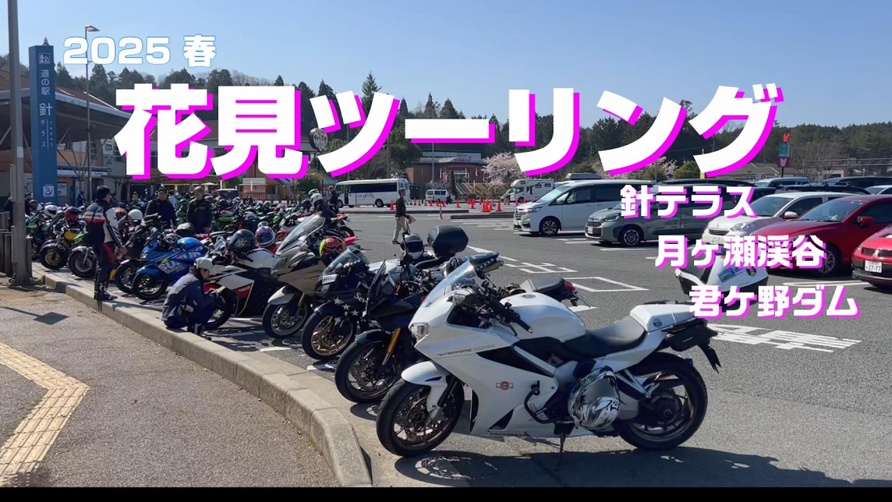 【桜日和】 ライダーの聖地 道の駅針テラスからスタートする花見ツーリング