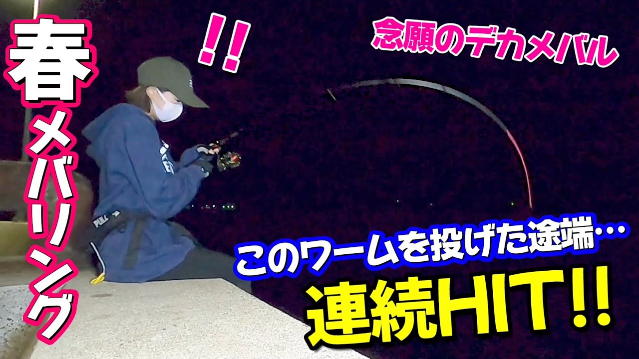 堤防でデカメバルが連発!! このワームで釣れてます♪【メバリング】