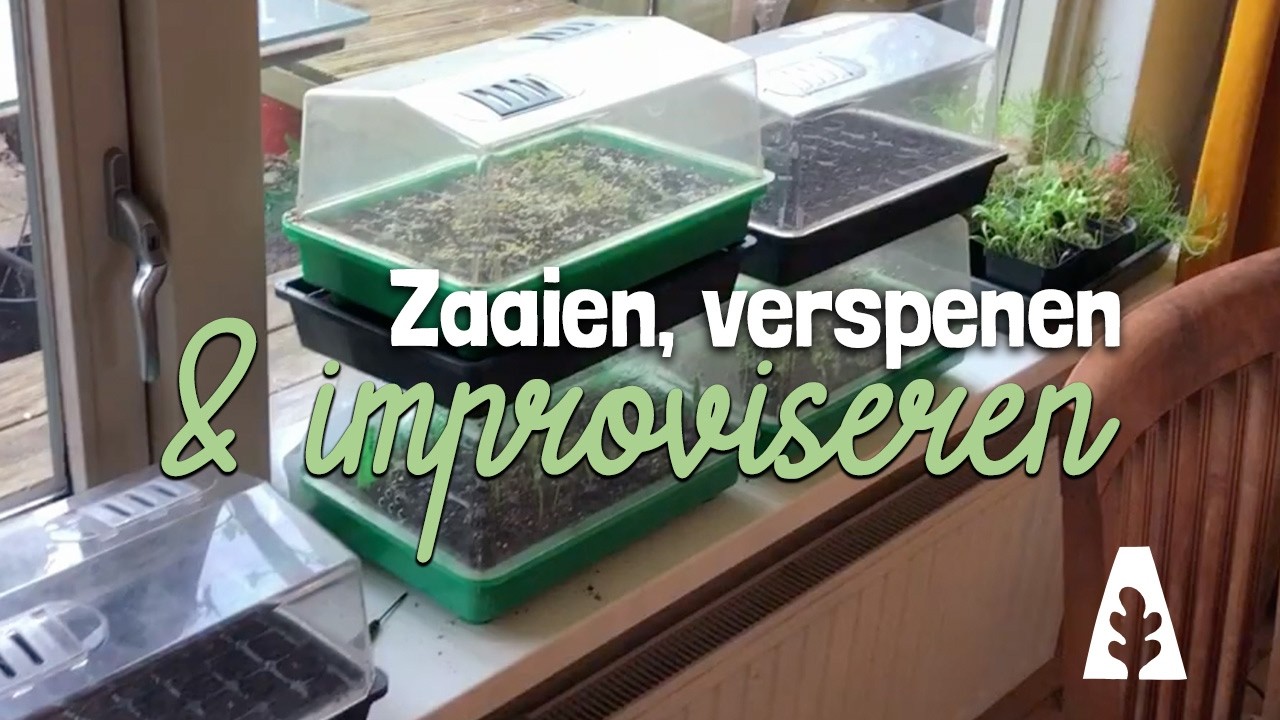 Zaaien, verspenen & improviseren #stadstuinieren #moestuin #zaaien #kweken #kas #groenten #bloemen