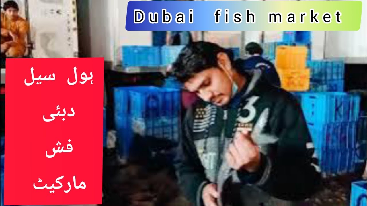 dubai whole sale fish market #youtubeshorts #youtube #viral