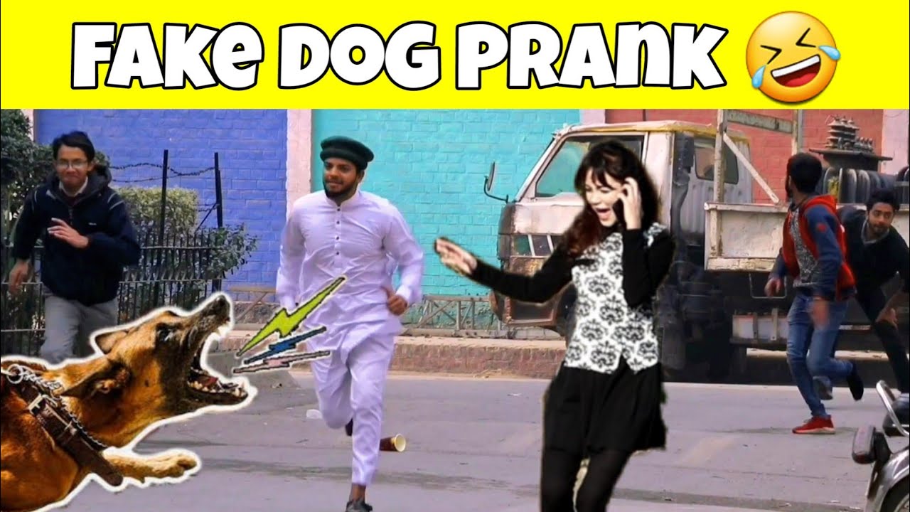 Fake DoG Prank on people | part 1 | By AJ Pranks