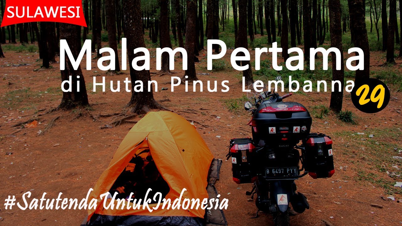 [ED.29] HUTAN PINUS LEMBANNA - Camping Pertama Solo Touring Sulawesi ~Satutenda [#JelajahSulawesi]
