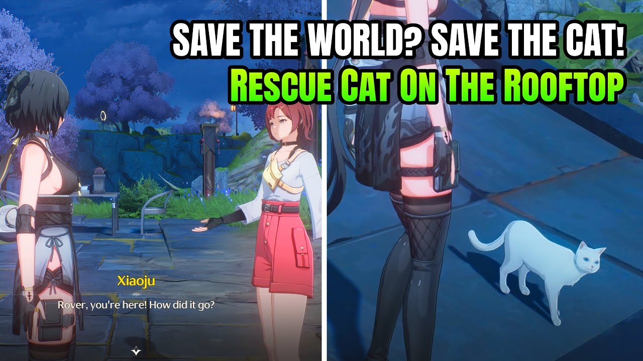 Save The World? Save The Cat! - Rescue Cat On The Rooftop Quest | Wuthering Waves