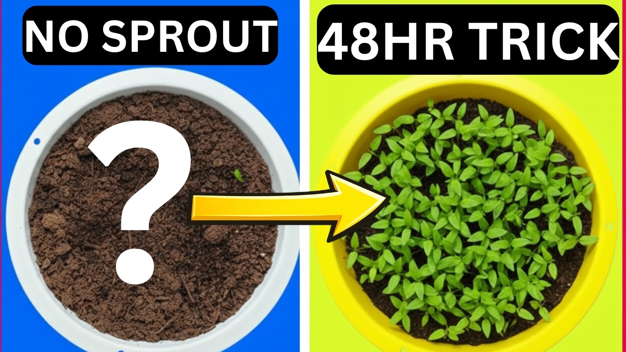 Seeds Not Germinating? Here's 5 Things You're Doing Wrong