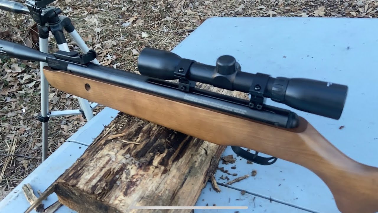Shooting a Benjamin Durango .22