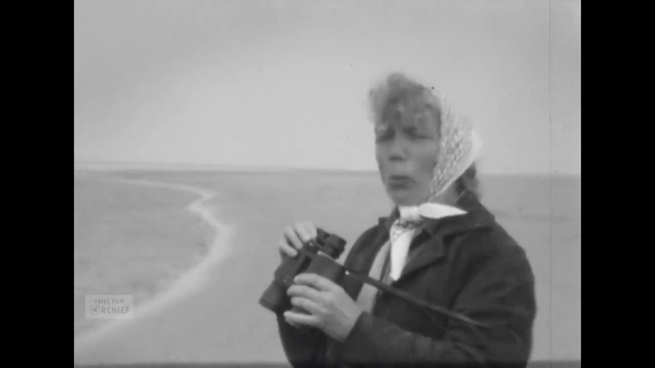 Skoallereizen: Amelân en Oranjewâld, 1963
