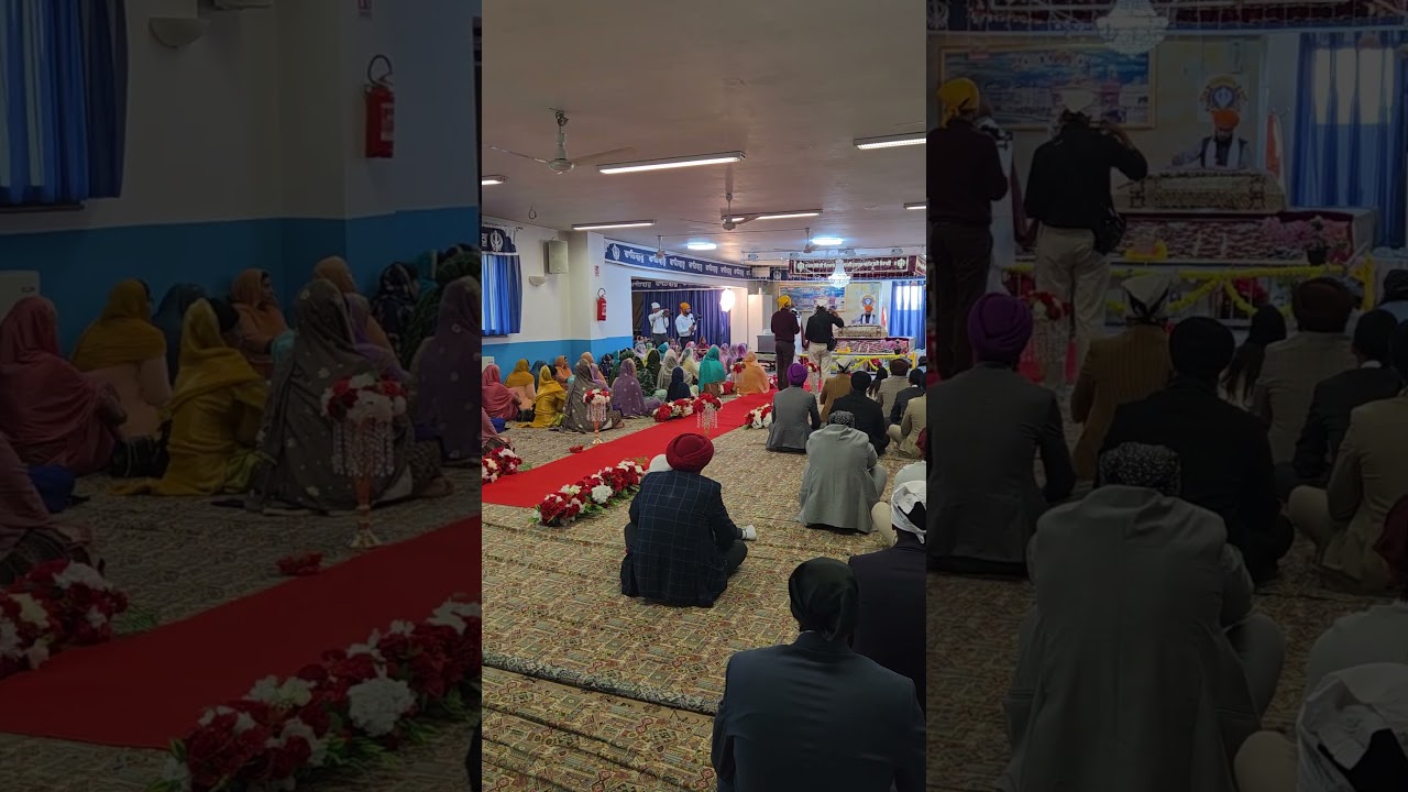 Matrimonio Sikh  #matrimonio #sikh #parma #festa