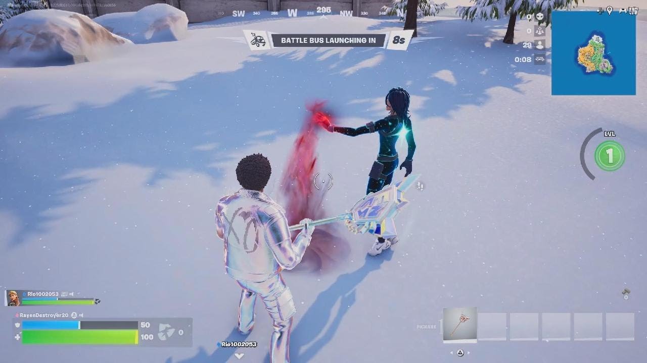 Fortnite L