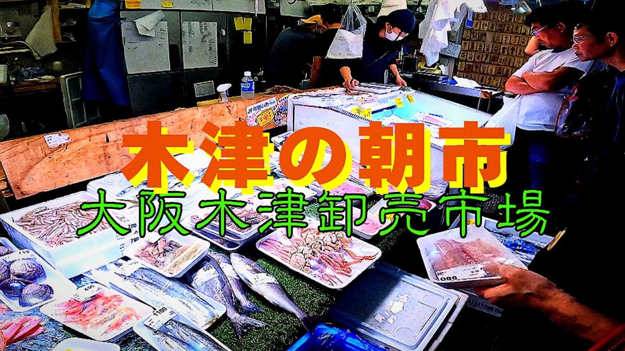 卸売市場まとめ【大阪 浪速区】木津の朝市『大阪木津卸売市場』をぶらり歩き　安く買い物、美味しく食事、 イベント開催　一般の方が楽しめる市場【4K】大阪メトロ大国町駅徒歩約3分