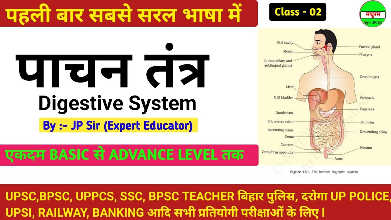 Digestive System |पाचन तंत्र | By:- JP Sir |#gk #gs #science #trending #viral #jpsir #tricks #facts 