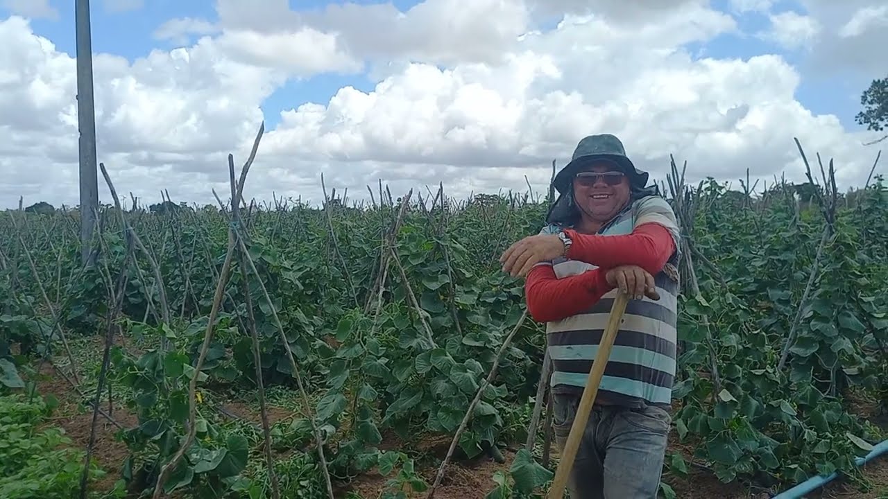 Tonho da pimenta sofreu um acidente galego da batata doce estar tomando conta das plantação dele 