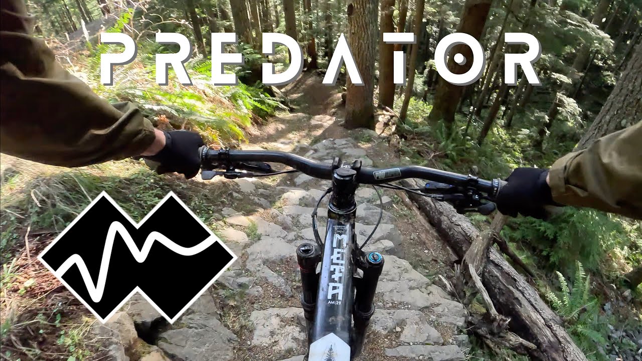 My first time riding 