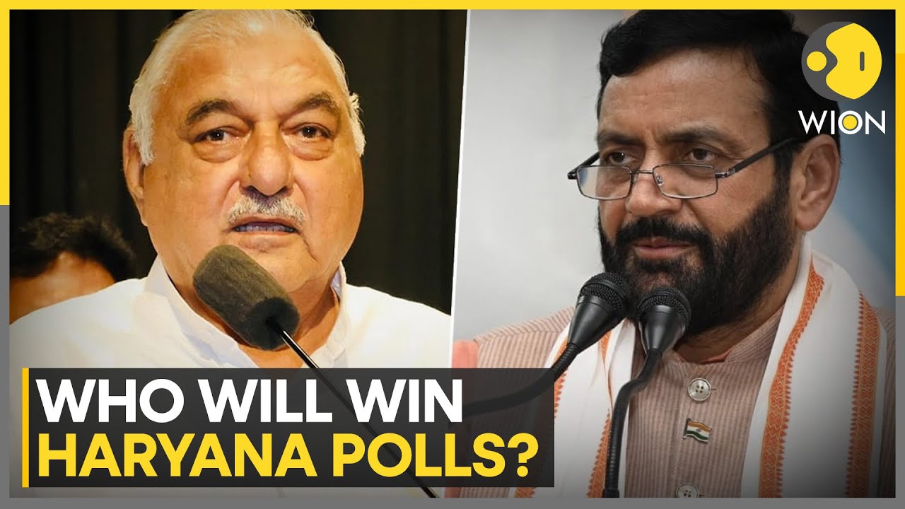 Haryana Assembly Election 2024: 23% Voter Turnout Recorded Till 11 AM | Latest English News | WION