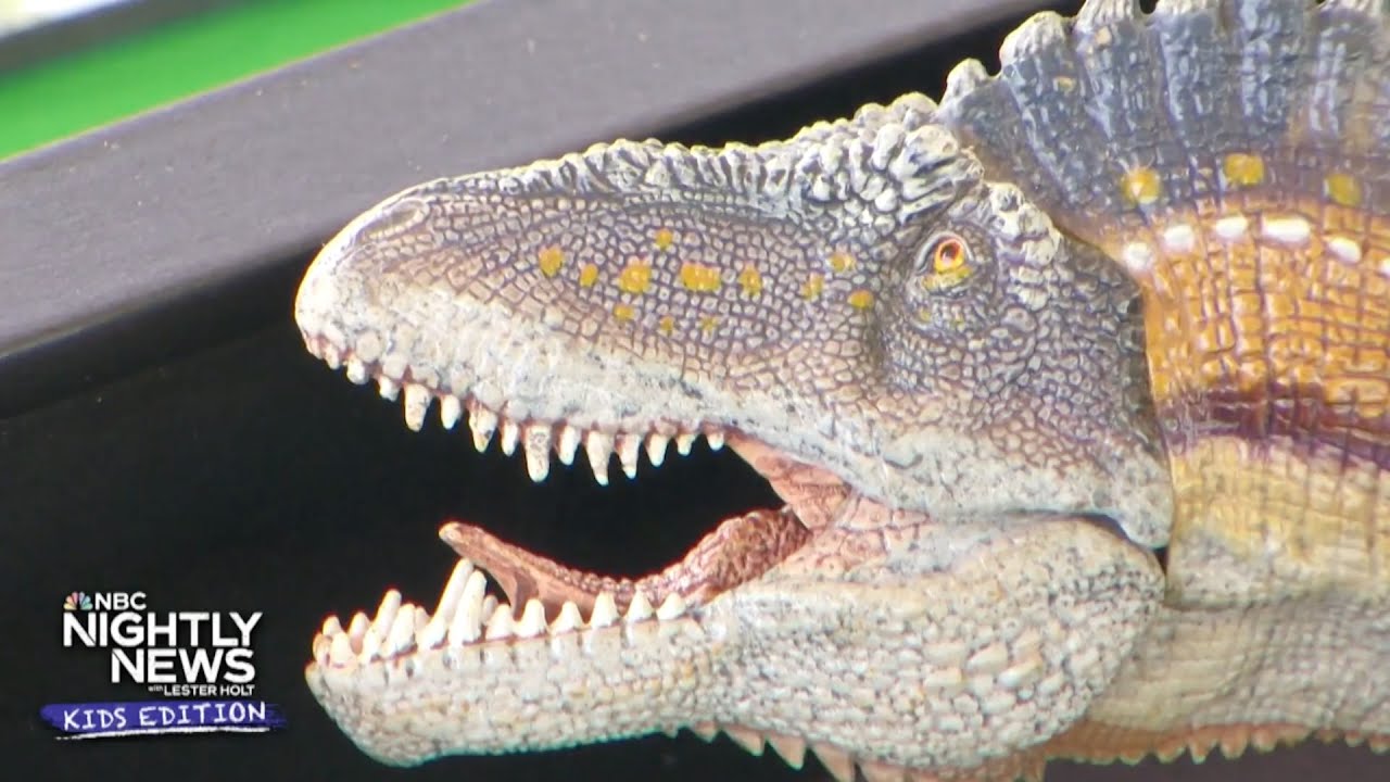 Dinosaur bone dating back 100 million years found in Maryland | Nightly News: Kids Edition