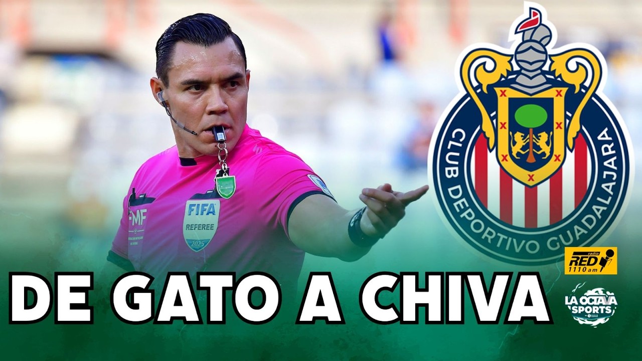 ¿El Gato Ortiz AYUDÓ a las CHIVAS? | EN VIVO
