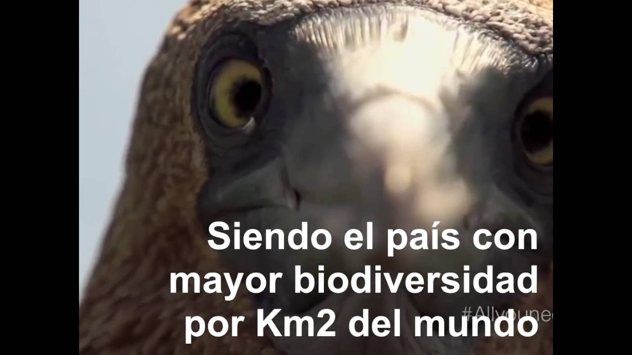 Conoce Ecuador
