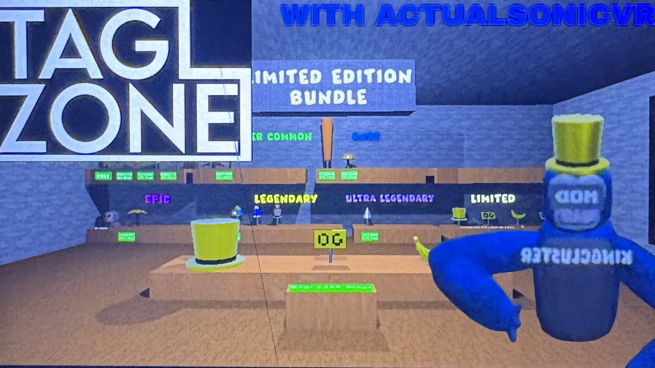 I Played TagZone (@ActualSonicVR Game)